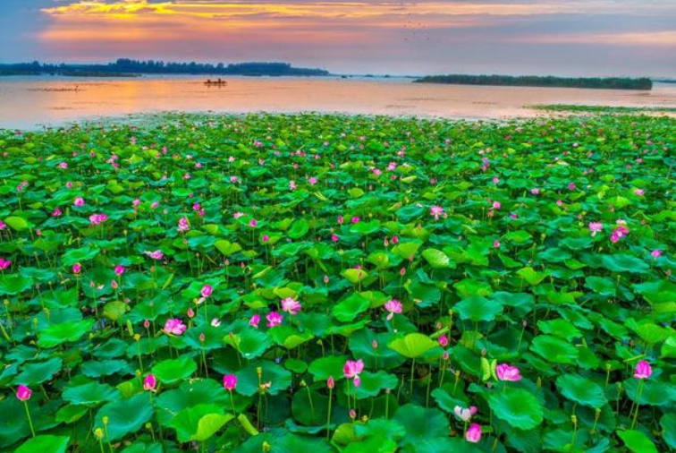 宜興和橋：五彩夏日綻放文旅之花